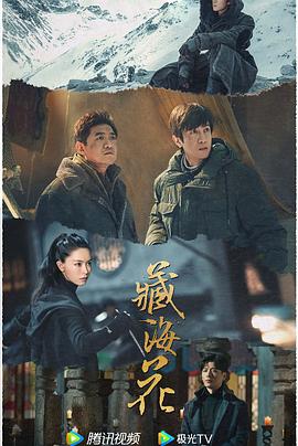 青青草在线视频观 - B影院
