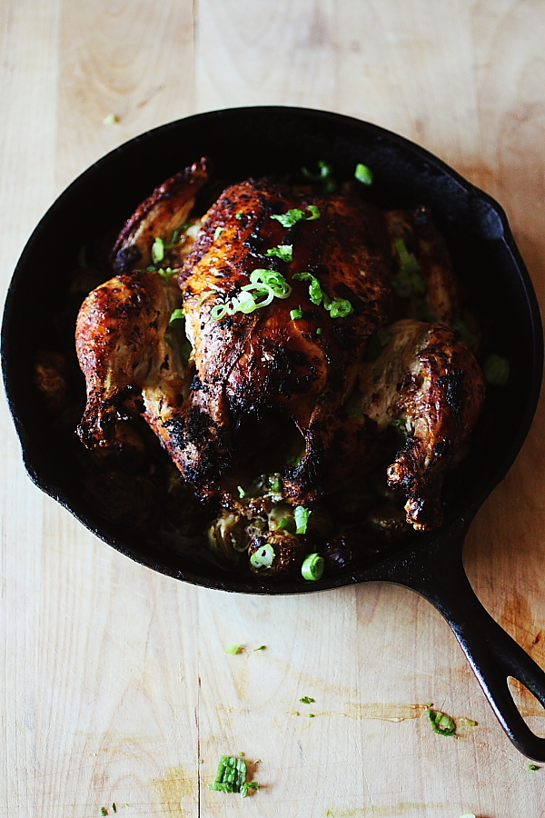 chicken5