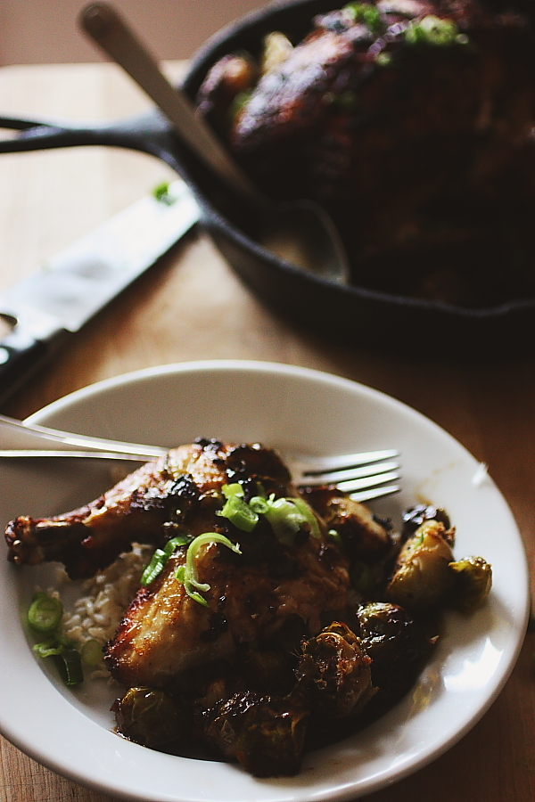 chicken6